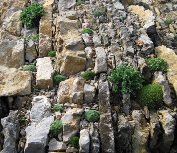 Stavba skalek včetně osázení vhodnými rostlinami